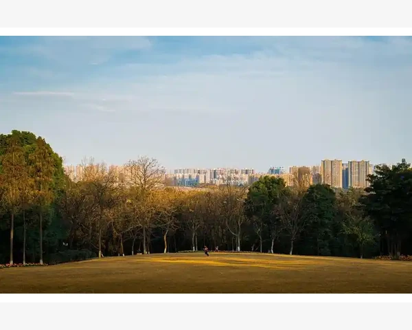 B2B电商书单挑选核心要点